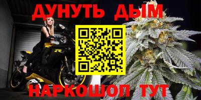 шишки Гусиноозёрск