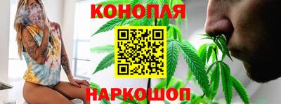 шишки Гусиноозёрск